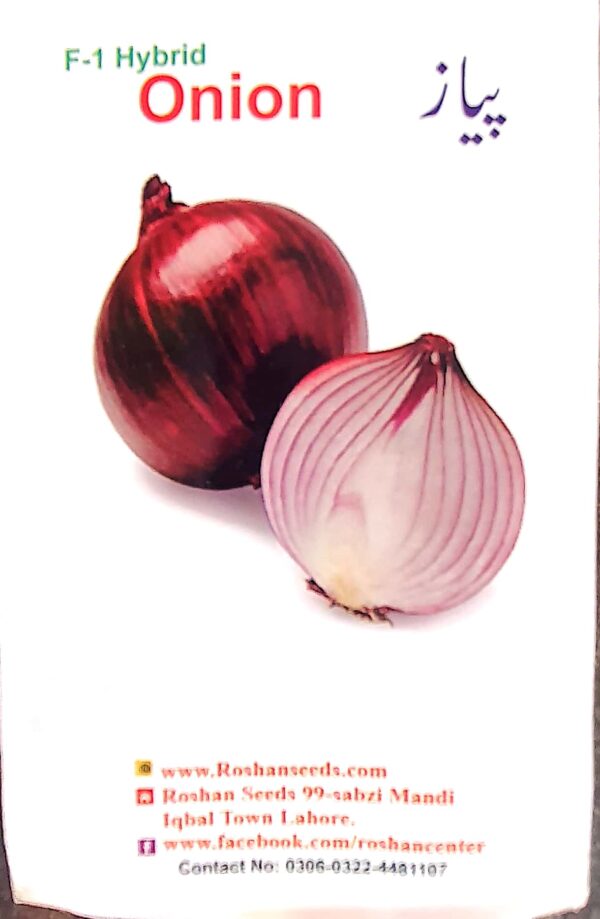 Onion-Seeds