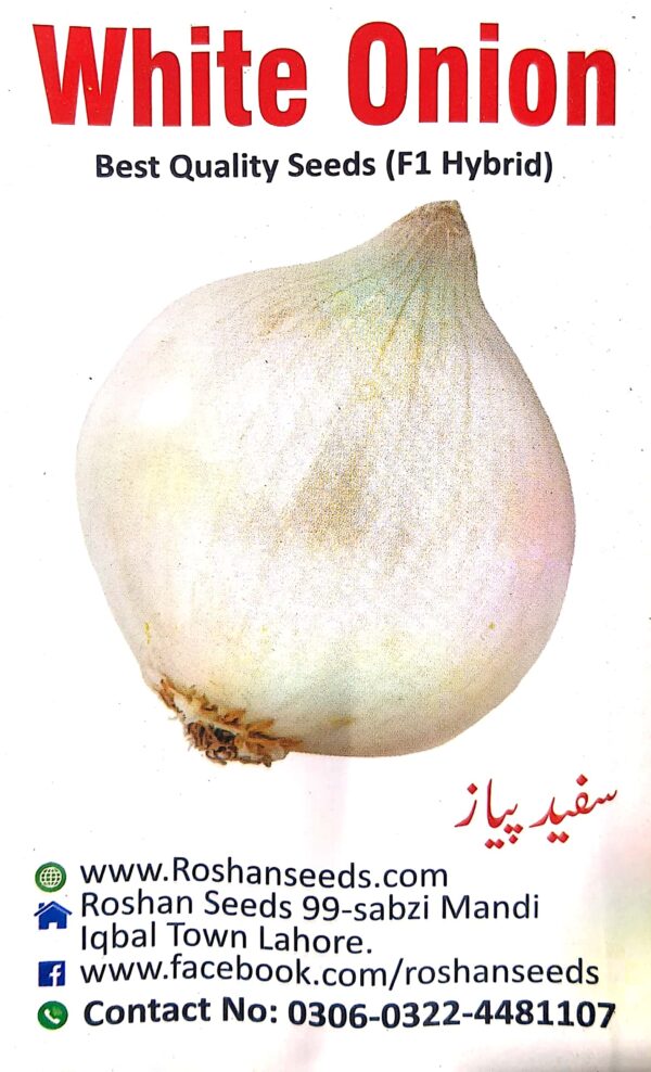 White Onion seeds